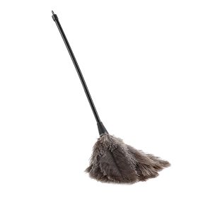 Mini Handmade Ostrich Feather Duster, Washable and Reusable Cleaning Tool for Books, Keyboard, Office & Home