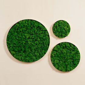 Round Framed Moss Wall Hanging, Decorative Greenery Art for Home and Office Walls