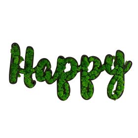 HAPPY Letter Moss Wall Decoration, Decorative Greenery Art for Home and Office Spaces