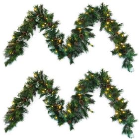 Christmas Wreath with Pine Cones and 50 Warm White LED Lights, Battery Powered with Timer