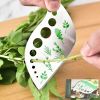 Multi-Purpose Stainless Steel Vanilla Bean Peeler, 9-Hole Cutting Tool for Precise Splitting and Scraping