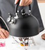 HSH0154A3L  induction cooker kettle 3.0L kettle electric pottery kettle does not contain BPA gas stove kettle