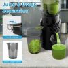 Cold Press Juicer Machine With 3.93In Feed Chute Fit Whole Fruits Vegetable 250W Slow Masticating Juicer With Reverse Function 2 Containers Easy To Cl