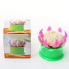 1pc Small Steamed Dumpling Stuffed Meatfilled Buns Maker Mold Plus Free Dumpling Mould Kitchen Tool