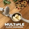 High-Quality Garlic Press with Soft Ergonomic Handle, Heavy-Duty Garlic Crusher Extracting More Clove, Suitable for Nuts and Seeds