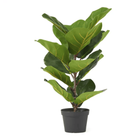 65cm Artificial Fiddle Leaf Fig Tree for Home and Office Decor