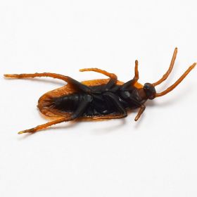 Halloween Fake Cockroach Simulation Toy, Realistic Scary Prank Bug for Funny Gags, Party Décor, and Tidy Jokes (Option: Cockroach-1 pcs)