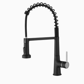 New Kitchen Single Handle pull-out faucet, stainless steel kitchen faucet with pull-out sprayer in Black (Color: Black + brushed)