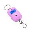 50kg/5g Digital Hanging Luggage Scale – Portable Precision Hook Scale for Travel, Fishing, Cargo, and Home Use