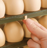 Egg Holder for Refrigerator, Egg Storage Box for Fridge, Flip Fridge Egg Tray Container