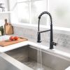 New Kitchen Single Handle pull-out faucet, stainless steel kitchen faucet with pull-out sprayer in Black
