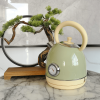 PS3018N2T    1850W Electric kettle, instrument thermometer kettle