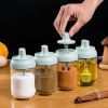 Glass Seasoning & Oil Set – Condiment Jar with Spoon and Oil Brush Bottle